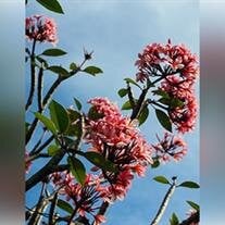 Loretta Jeane Powers