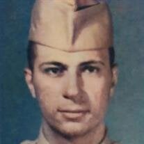 Anthony Richard D'Amico Sr.