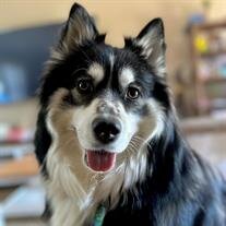 Luna Burgett