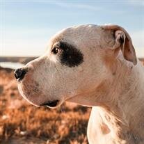 Malachi