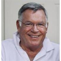 Peter Harrold