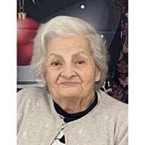 Mariam Al-Amir
