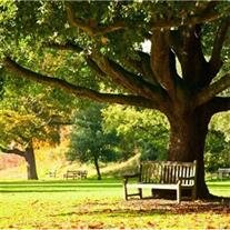 Johnnie Lee Turner Jr.