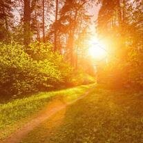 William Merrill Sullivan