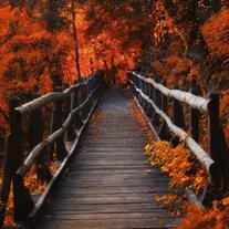 Lawrence Andrew Hansen