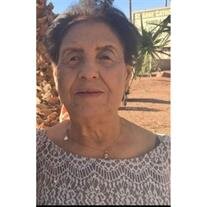 Maria Villegas De Campos