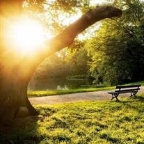 Lester William Bergman