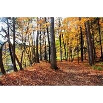 Michael Patrick McKenna