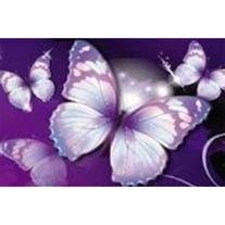 Christine Lee Koopman