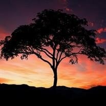 William Joseph Beckmann