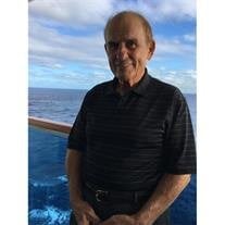 Robert T Murello