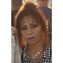 Sylvia Hernandez