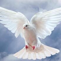 Miracle Blessing Albert