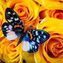 Edith Joyce Pizaro