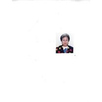 Wang Chen