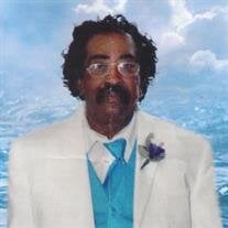Mr. Robert L. Woods Jr.