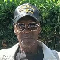 William Robert Hawkins Jr.