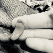 Dawson Harvey Jensen