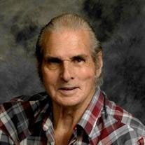 Loy S. Buehler Sr.