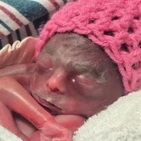 Our Precious Angel Camila Isabella Hernandez