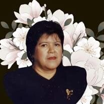 MARIA  DE LA LUZ SIDON DE ACEVEDO