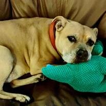Miss Maggie May Ivey