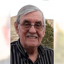 Lawrence C. Stoner