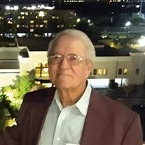 Douglas L. Segars