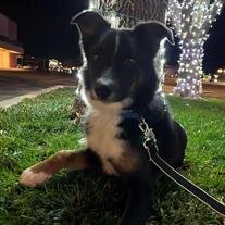 Astro