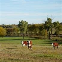 Larry Van Fitzgerald