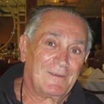 Mr. Fiore D'Apolito
