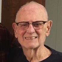 Efraim P Horta Castro