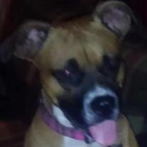 Jayla Beamer