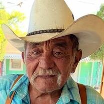 Pedro Frausto Yanez