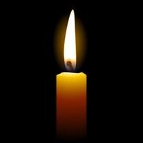 Shirley N. Kobert