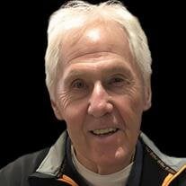 Robert Torok