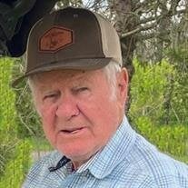 Mr. Jim Dewain Davis