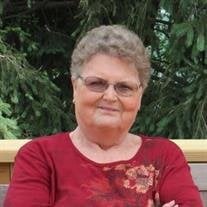 Diane Faye Heibel