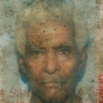 Cebrum  Arthur