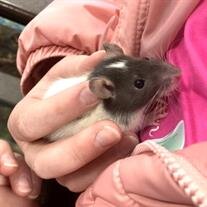 Millie Chrise