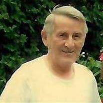 Ivica Cingel