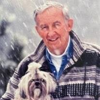 William (Bill) Donald Moschel