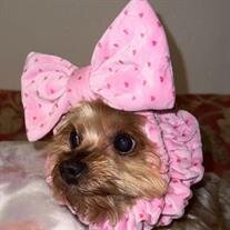 Maggie