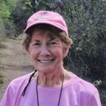 Susan S. Neff
