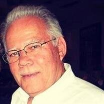 DR. NATAN HARPAZ PhD.