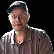 Robert R Eisler