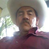 Mr. Martin Granado Conde