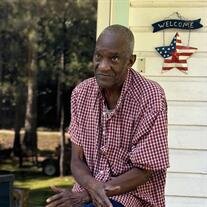 MR. HENRY STEELE JR.