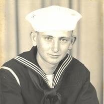 Mr. Robert Lee Patrick