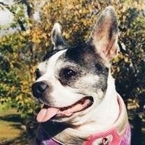 Lola Fajardo